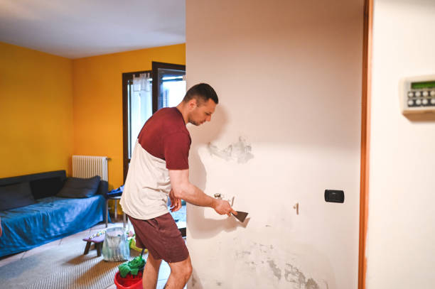 Best Mold Testing and Inspection Services in Capitan, NM